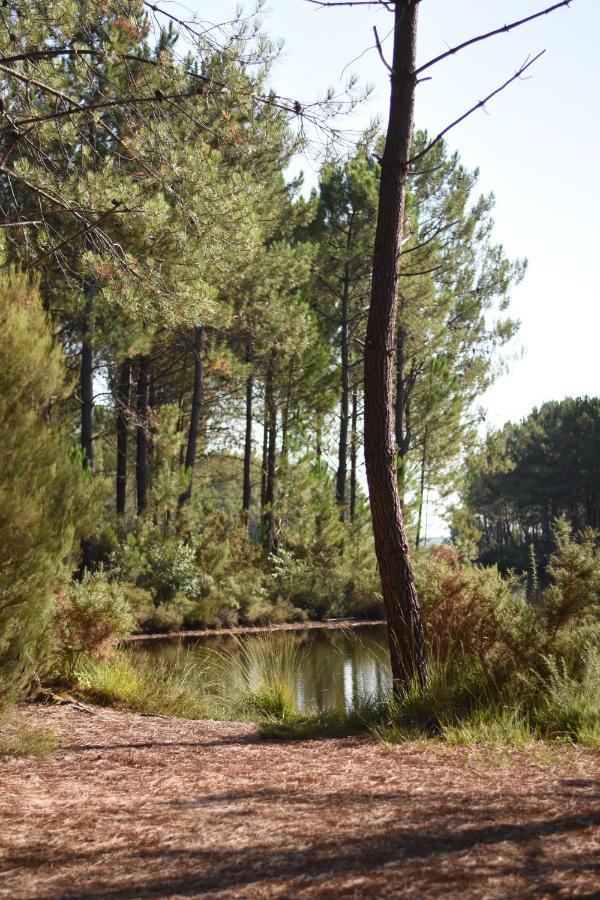 La Cachette Du Lac Lacanau Luaran gambar
